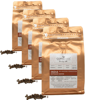 Caffè d'India Ratnagiri Estate - Anaerobic - Pack 4 × Chicchi Bustina 250 g