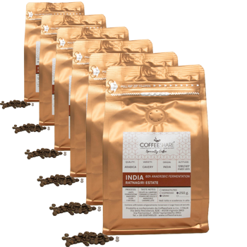 Cafe En Grain Torrefazione Coffeeshare Cafe D Inde Ratnagiri Estate Anaerobic 250 G - Pack 6 × Grains Pochette 250 g