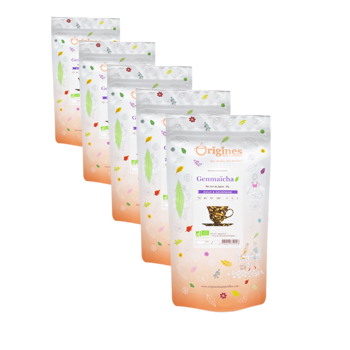 Grüner Tee Bio im Beutel - Genmaicha Japon - 100g - Pack 5 × Beutel 100 g
