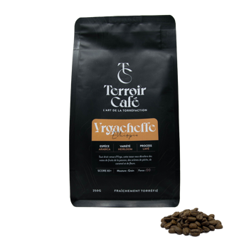 Terroir Cafe Café En Grains - Éthiopie, Yirgacheffe - 1Kg - Grains Pochette 1 kg