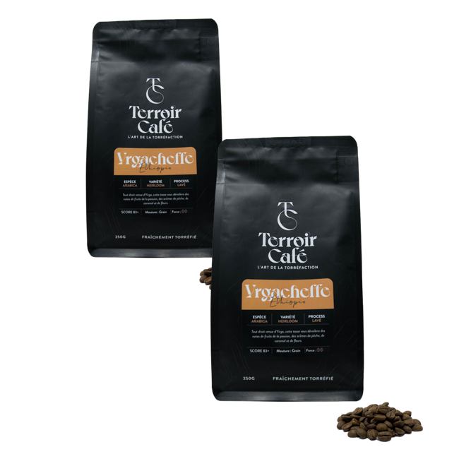 Kaffeebohnen - Äthiopien, Yirgacheffe - 1kg by Terroir Cafe