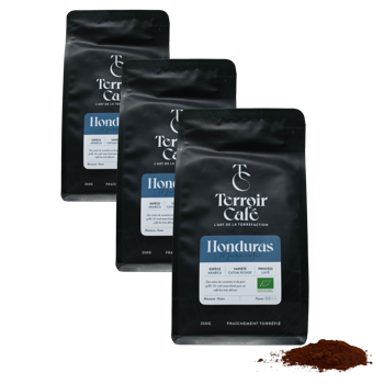 Terroir Cafe Terroir Cafe Honduras Bio Maracala 250G Moulu Moka - 250 G - Pack 3 × Moulu Moka Pochette 250 g