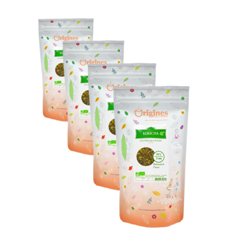 Tè Verde Bio in bustine - Kukicha Japon - 100g - Pack 4 × Bustina 100 g