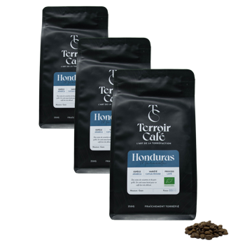 Gemahlener Kaffee - Honduras Bio, Maracala 250g - Pack 3 × Bohnen Beutel 250 g