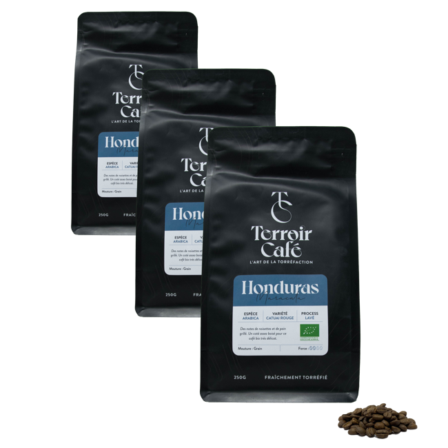 Gemahlener Kaffee - Honduras Bio, Maracala 250g by Terroir Cafe
