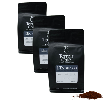 Terroir Cafe Terroir Cafe La Composition De L Espresso 250G Moulu Espresso - 250 G - Pack 3 × Moulu Espresso Pochette 250 g