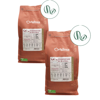 Origines Tea&Coffee Cafè En Grains - Indonésie Sumatra - 1Kg - Pack 2 × Grains Pochette 1 kg