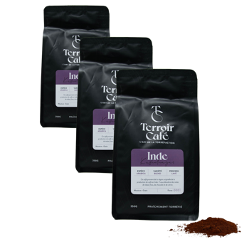 Terroir Cafe Terroir Cafe Inde Kusha 250G Moulu Moka - 250 G - Pack 3 × Moulu Moka Pochette 250 g