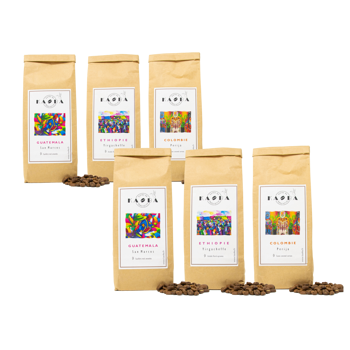 KAOBA Café En Grains - Guatemala San Marcos, Colombie Perija Et Ethiopie Yrgacheffe - 3X250G - Pack 2 × Grains Pochette 750 g