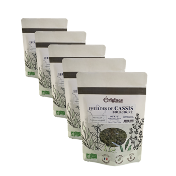 Infusion Bio Cassis Feuille - Sachet 50g - Pack 5 × Pochette 50 g