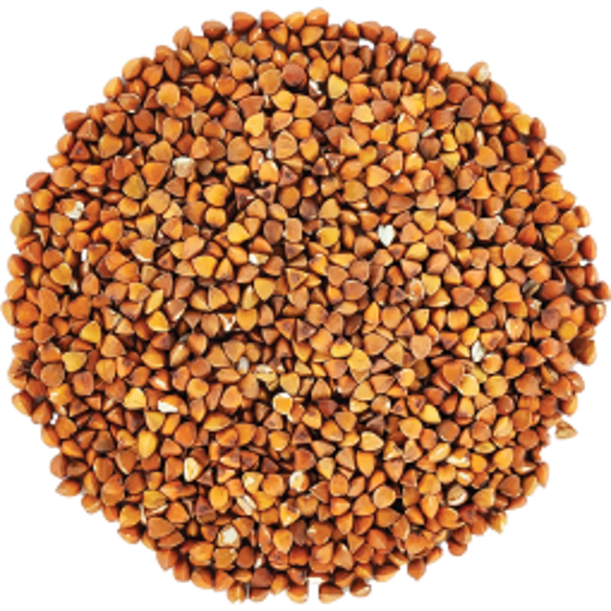 Deuxième image du produit Origines Tea&Coffee Infusion Bio Sobacha Vrac 1Kg Fleur De The 1 Kg by Origines Tea&Coffee