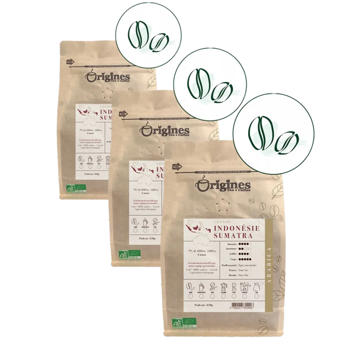 Origines Tea&CoffeeCafe Moulu Indonesie Sumatra 250G Moulu Moka - 250 G by Origines Tea&Coffee