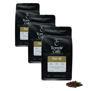 Terroir Cafe Café En Grains - Brésil, Linda 250G - Pack 3 × Grains Pochette 250 g