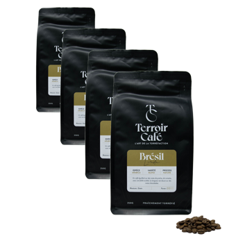 Terroir Cafe Café En Grains - Brésil, Linda 250G - Pack 4 × Grains Pochette 250 g