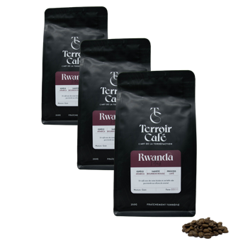 Café En Grain Terroir Cafe Terroir Cafe Rwanda Titus 250G - 250 G - Pack 3 × Grains Pochette 250 g