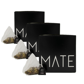 Hibiskus Mate (x10) - Pack 3 × Teebeutel 15 g