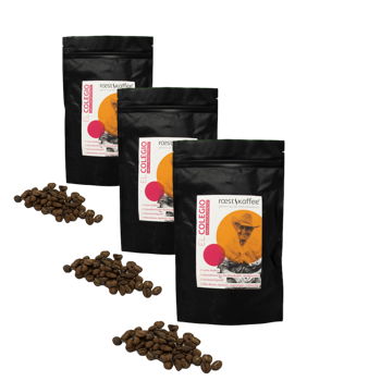 El Colegio Espresso - Pack 3 × Chicchi Bustina 500 g