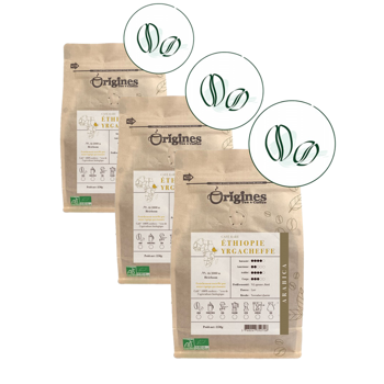 Origines Tea&Coffee Cafè En Grains - Ethiopie Yragcheffe - 250G - Pack 3 × Grains Pochette 250 g