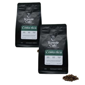 Kaffeebohnen - Costa Rica, Tico 1kg - Pack 2 × Bohnen Beutel 1 kg