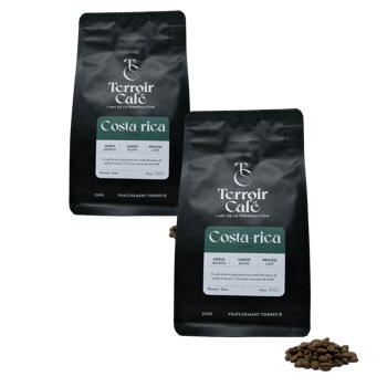 Terroir Cafe Café En Grains - Costa Rica, Tico 1Kg - Pack 2 × Grains Pochette 1 kg