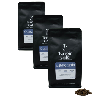 Terroir Cafe Café En Grains - Guatemala, Maya 250G - Pack 3 × Grains Pochette 250 g