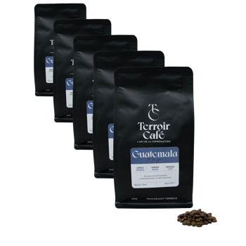 Kaffeebohnen - Guatemala, Maya 250g - Pack 5 × Bohnen Beutel 250 g