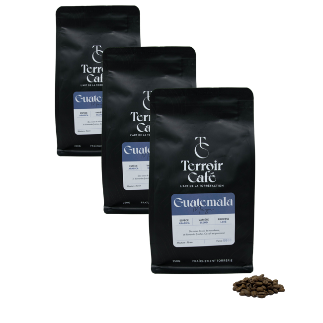 Terroir Cafe Café En Grains - Guatemala, Maya 250G by Terroir Cafe