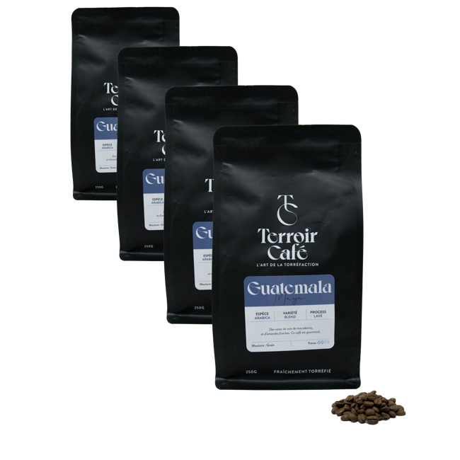 Caffè in grani - Guatemala, Maya 250g by Terroir Cafe