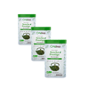 Grüntee Bio Metall-Box - Sencha Prestige Japon - 100g by Origines Tea&Coffee