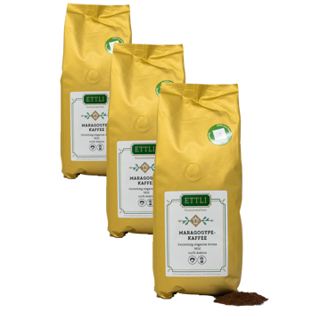 Caffè macinato - Maragogype - 500g - Pack 3 × Macinatura French press Bustina 500 g