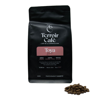Terroir Café - Bali, Toya 1kg - Grains Pochette 1 kg