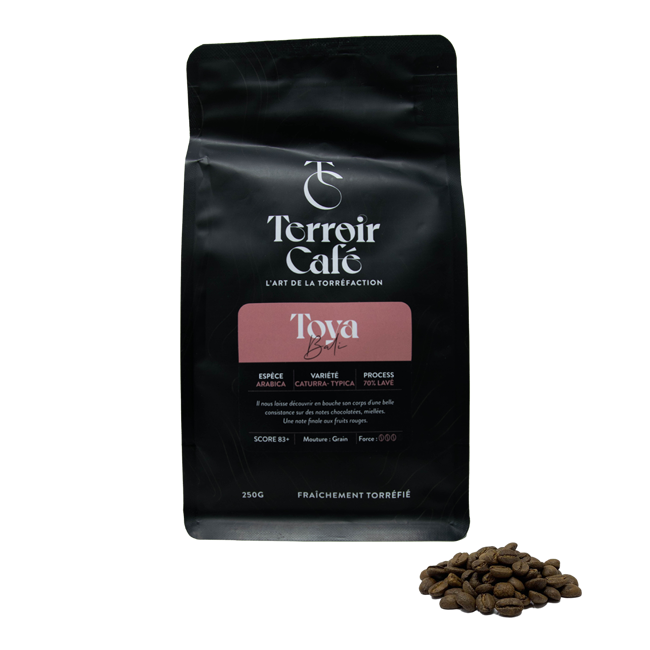 Kaffeebohnen - Bali, Toya - 1kg by Terroir Cafe