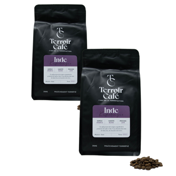 Terroir Cafe Café En Grains - Inde, Kusha 1Kg - Pack 2 × Grains Pochette 1 kg