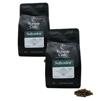 Kaffeebohnen - Salvador, San Jorge 1kg - Pack 2 × Bohnen Beutel 1 kg