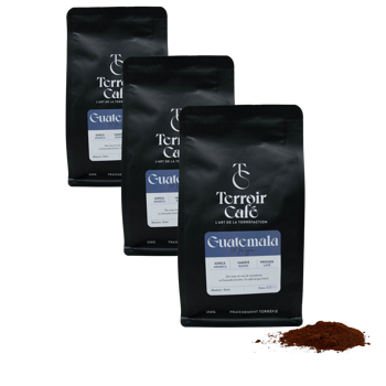 Terroir Cafe Terroir Cafe Guatemala Maya 250G Moulu Filtre - 250 G - Pack 3 × Moulu Filtre Pochette 250 g