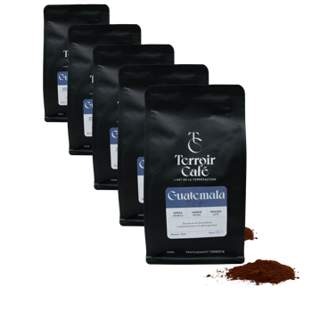 Gemahlener Kaffee - Guatemala, Maya 250g - Pack 5 × Mahlgrad Filter Beutel 250 g