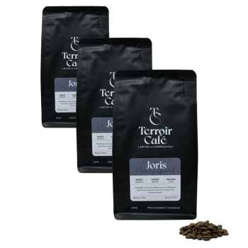 Terroir Cafe Café En Grains - Composition Du Torréfacteur, Joris - 250G - Pack 3 × Grains Pochette 250 g