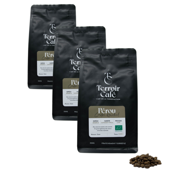 Terroir Cafe Café En Grains - Pérou Bio, Condor Huabal 250G - Pack 3 × Grains Pochette 250 g