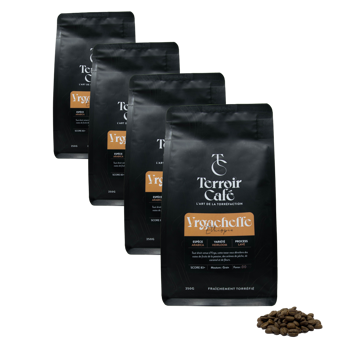 Kaffeebohnen - Äthiopien, Yirgacheffe - 250g - Pack 4 × Bohnen Beutel 250 g