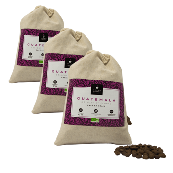 Caffè in grani - Guatemala Bio - 250 g - Pack 3 × Caffè in grani biologico di alta qualità.