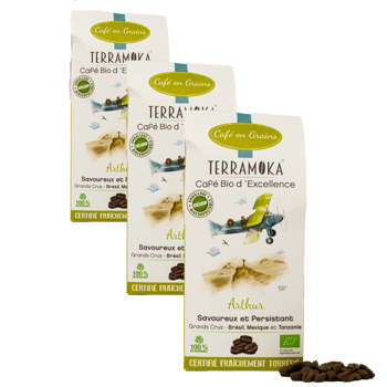 Terramoka Café En Grains - Le Jeune Arthur - 200G - Pack 3 × Grains Boîte en carton 200 g