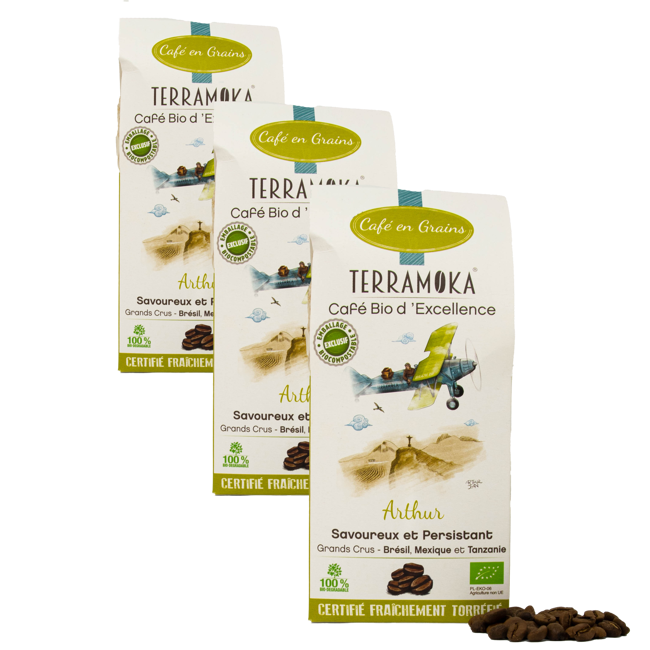 Terramoka Café En Grains - Le Jeune Arthur - 200G by Terramoka