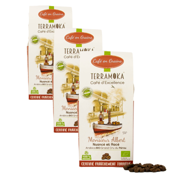 Terramoka Café En Grains - Monsieur Albert - 200G - Pack 3 × Grains Boîte en carton 200 g