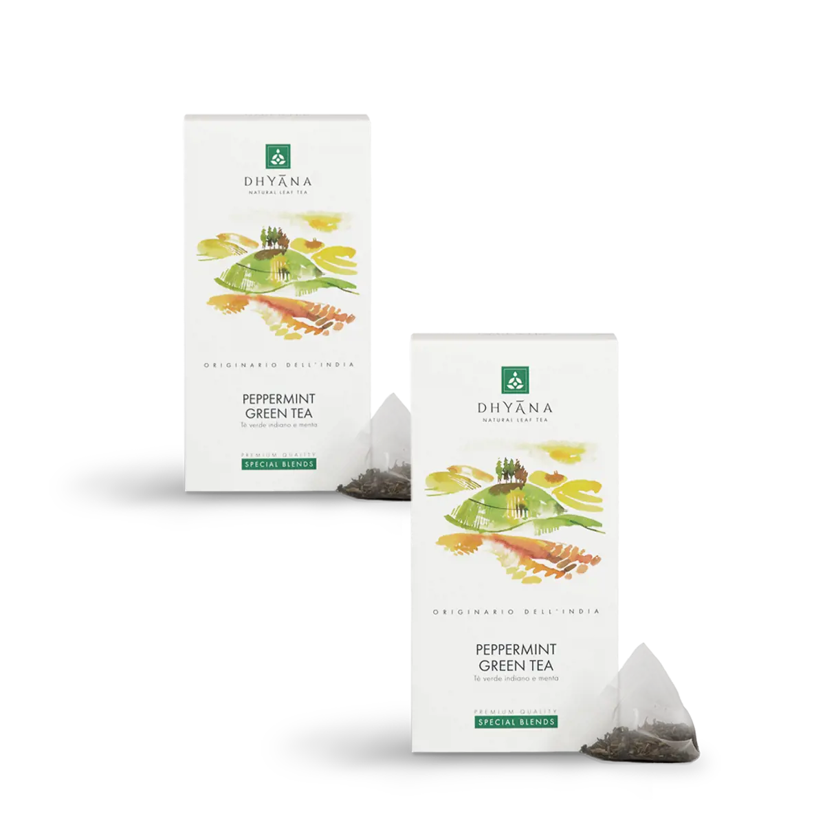 Peppermint Green Tea x15 filtri by Dhyana