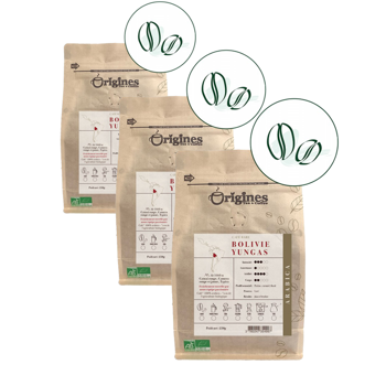 Origines Tea&Coffee Cafè En Grains - Bolivie Yungas - 250G - Pack 3 × Grains Pochette 250 g