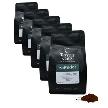 Gemahlener Kaffee - Salvador, San Jorge 250g - Pack 5 × Mahlgrad Filter Beutel 250 g