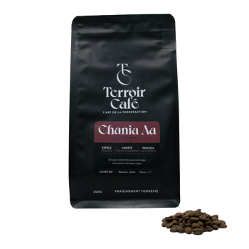Terroir Café - Kenya, Chania Aa 1kg - Chicchi Bustina 1 kg