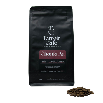 Terroir Cafe Café En Grains - Kenya, Chania Aa 1Kg - Grains Pochette 1 kg