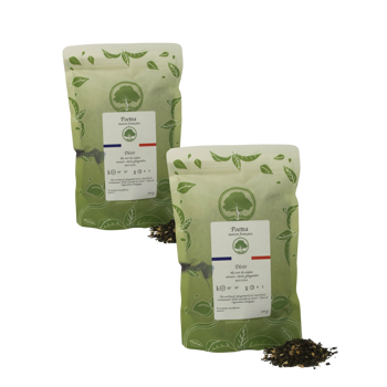 Grüner Tee Ingwer-Zitrone-Aufguss - 100g - Pack 2 × Beutel 100 g
