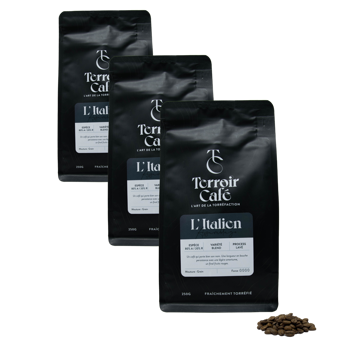 Terroir Cafe Café En Grains - La Composition Italienne - 250G - Pack 3 × Grains Pochette 250 g